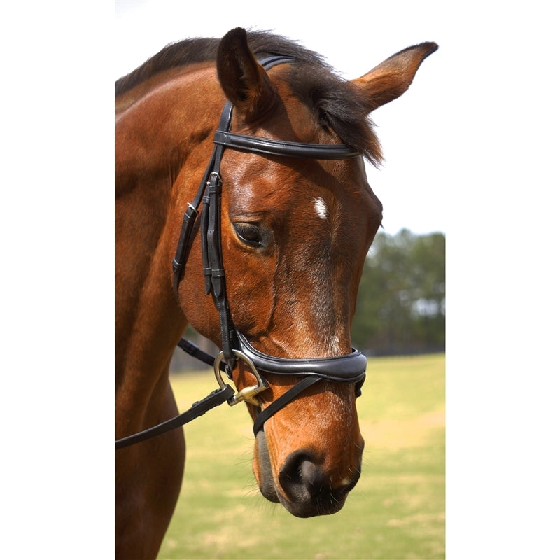 Nunn Finer Aforma Flash Bridle