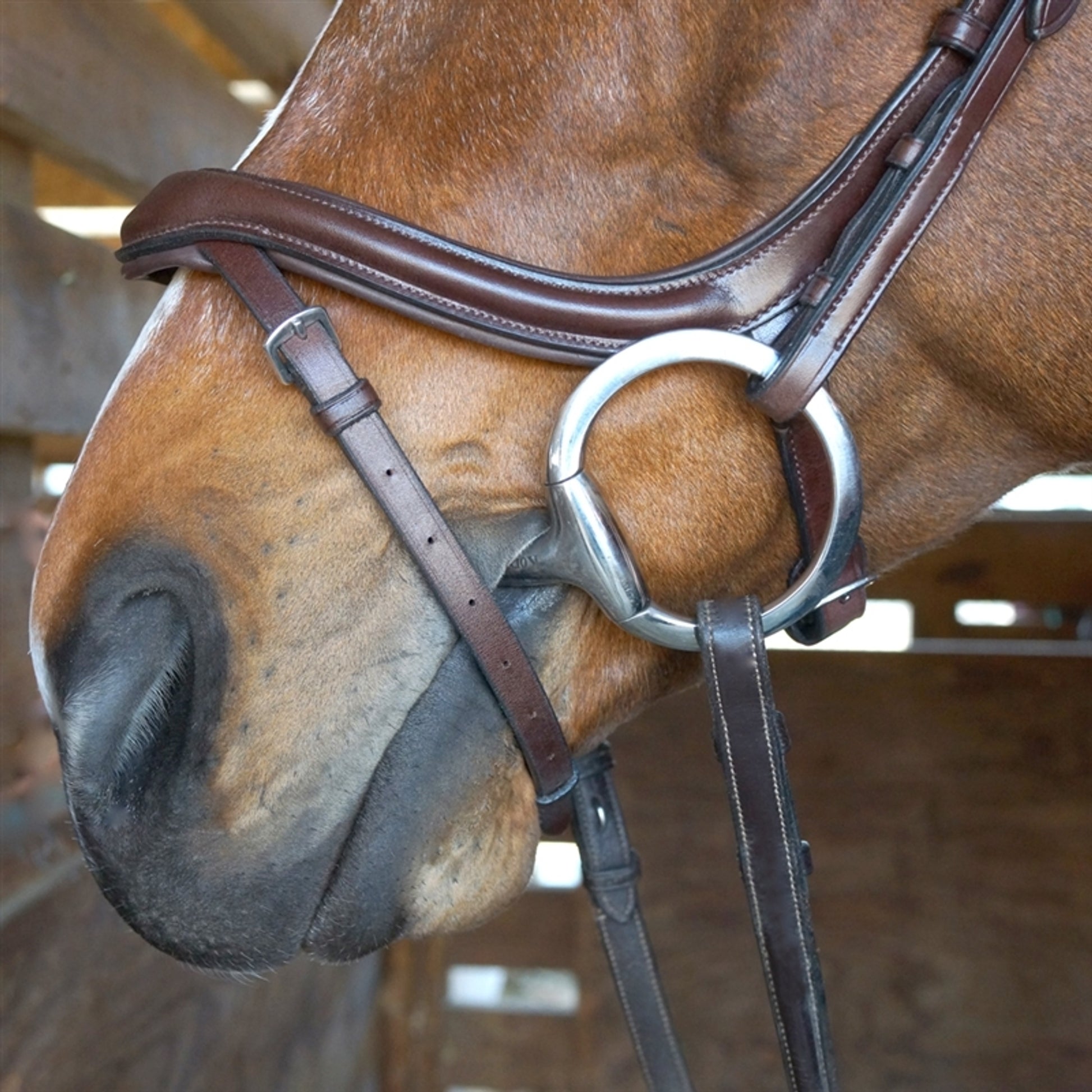 Nunn Finer Aforma Flash Bridle