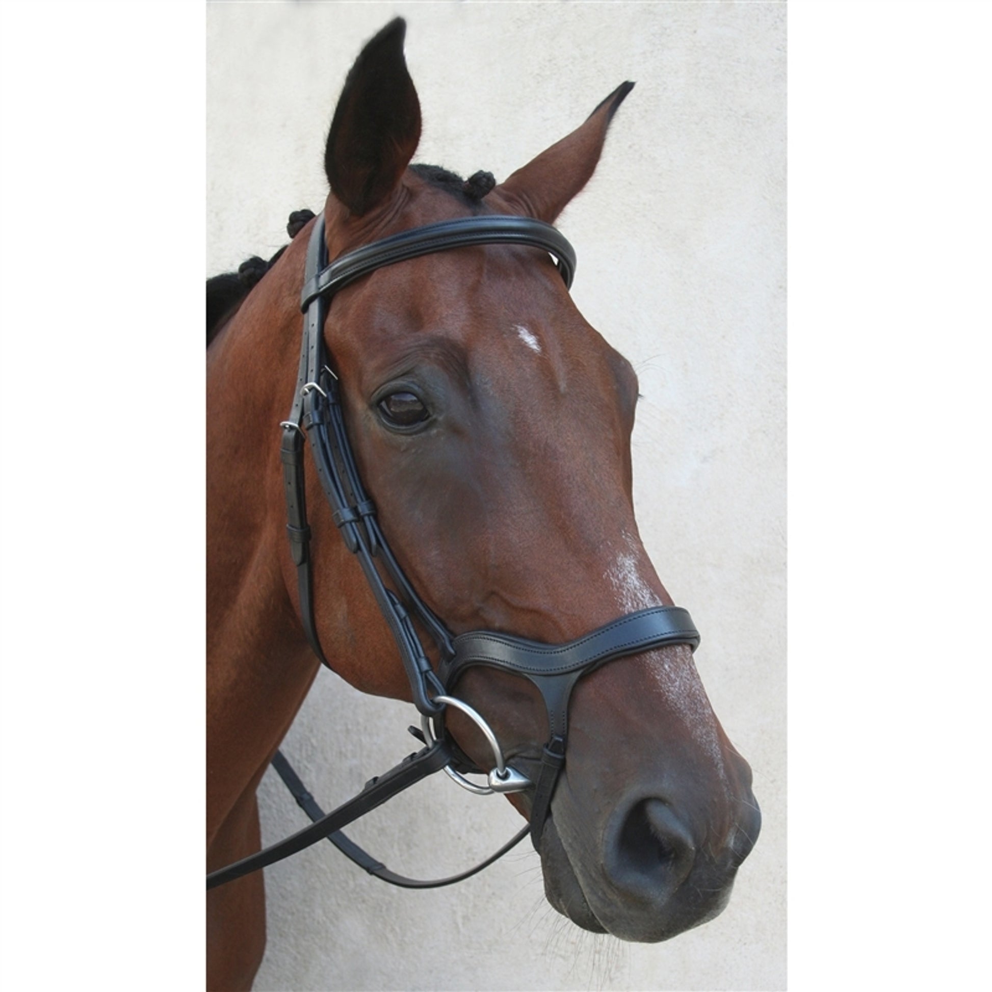Nunn Finer Innovativo English Bridle with Rubber Reins