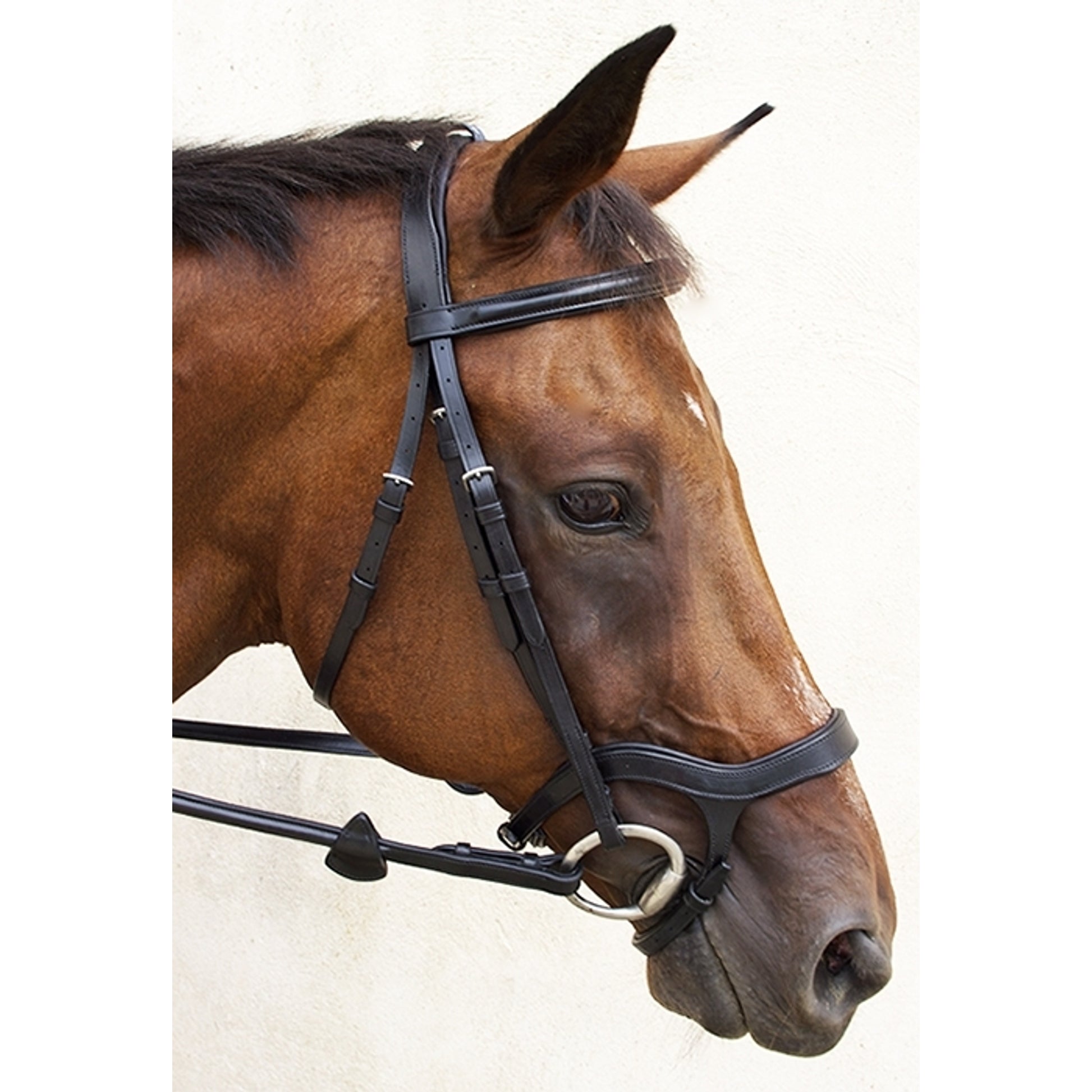 Nunn Finer Innovativo English Bridle with Rubber Reins