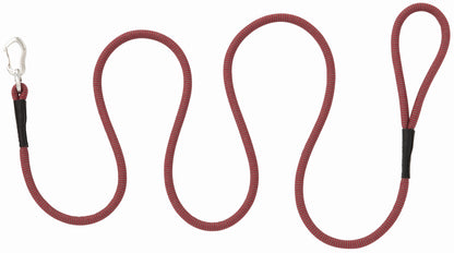 4-303229.jpg