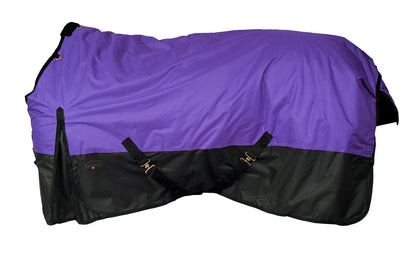 4-304616-purple.jpg