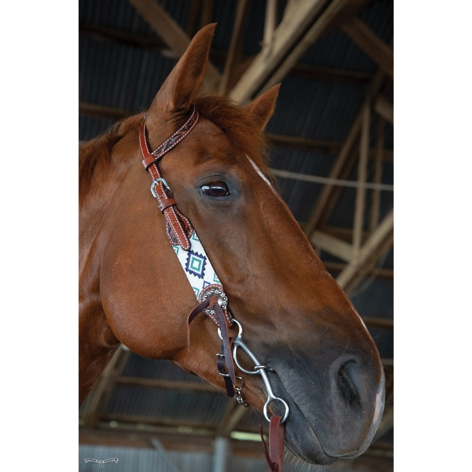 Circle Y Flat Infinity One Ear Headstall