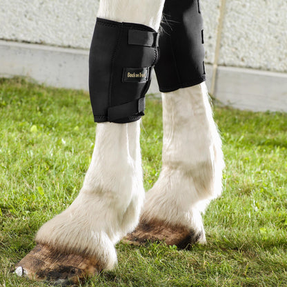 Back on Track Knee Protection Brace Right