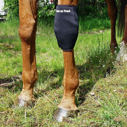 Back on Track Knee Protection Brace Right