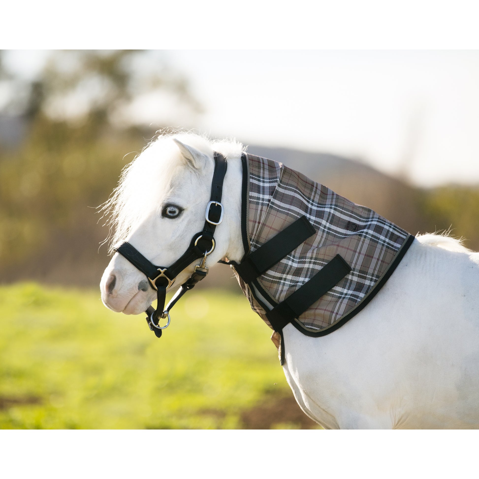 Kensington Mini Protective Neck Piece