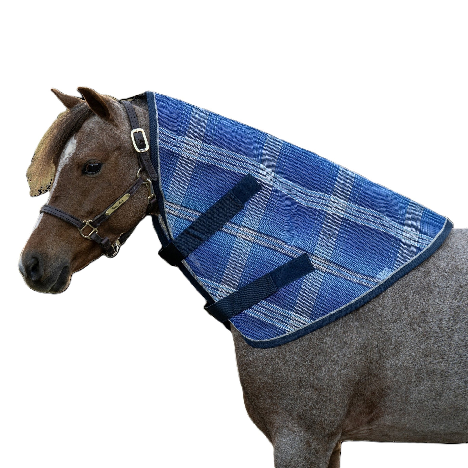 Kensington Pony Protective Neck Piece