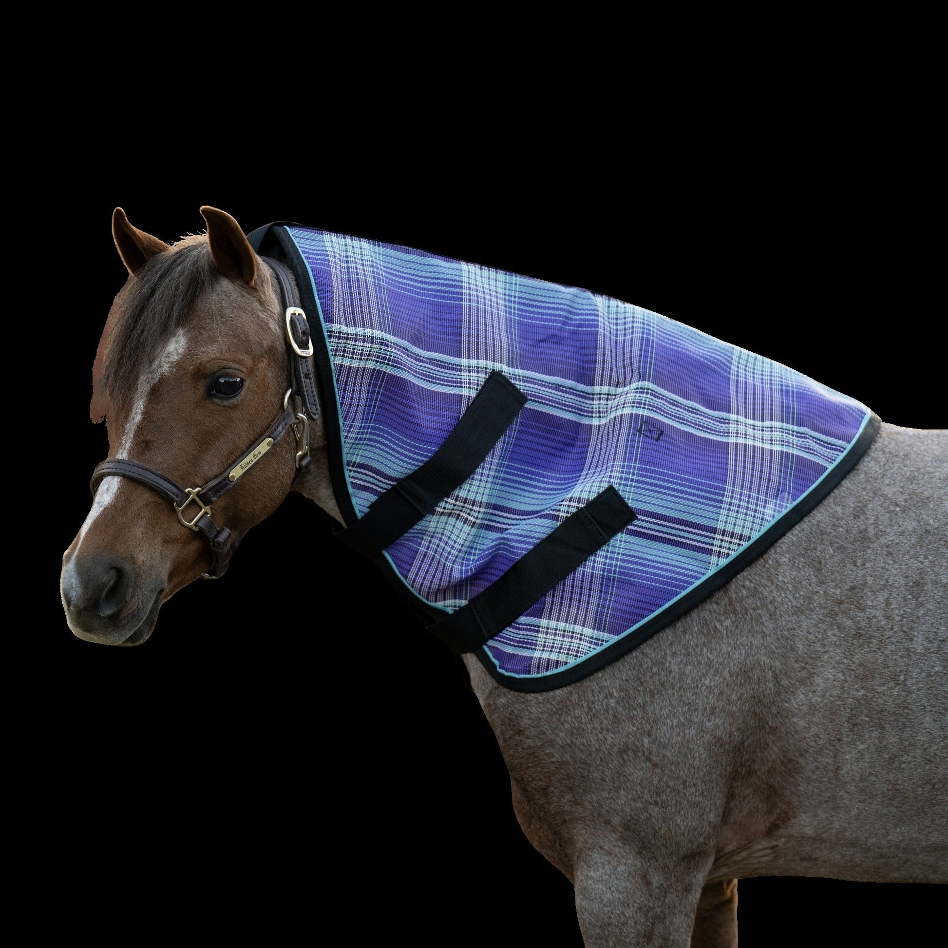 Kensington Pony Protective Neck Piece