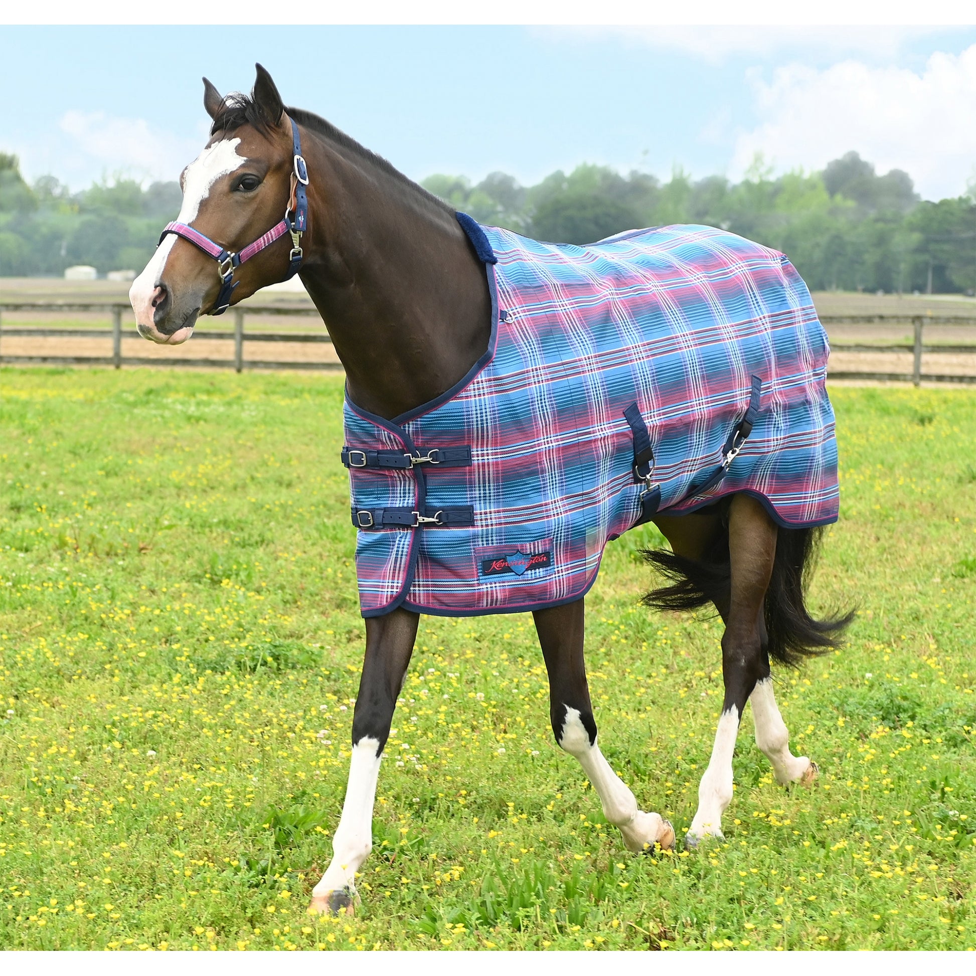 Kensington 73% UV Pony Protective Fly Sheet