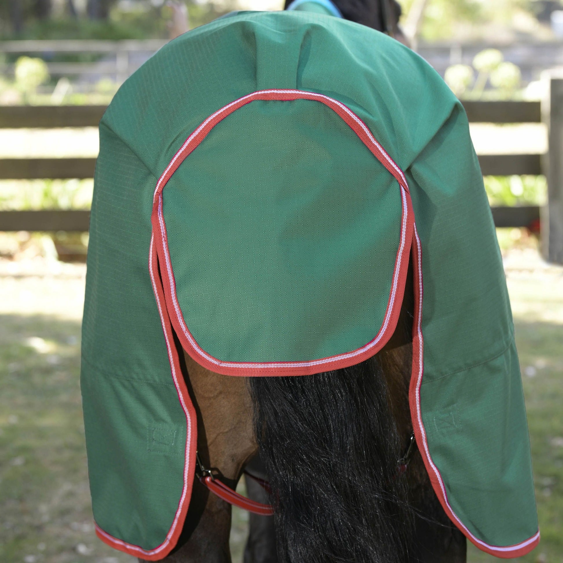 4-348938-d.jpg