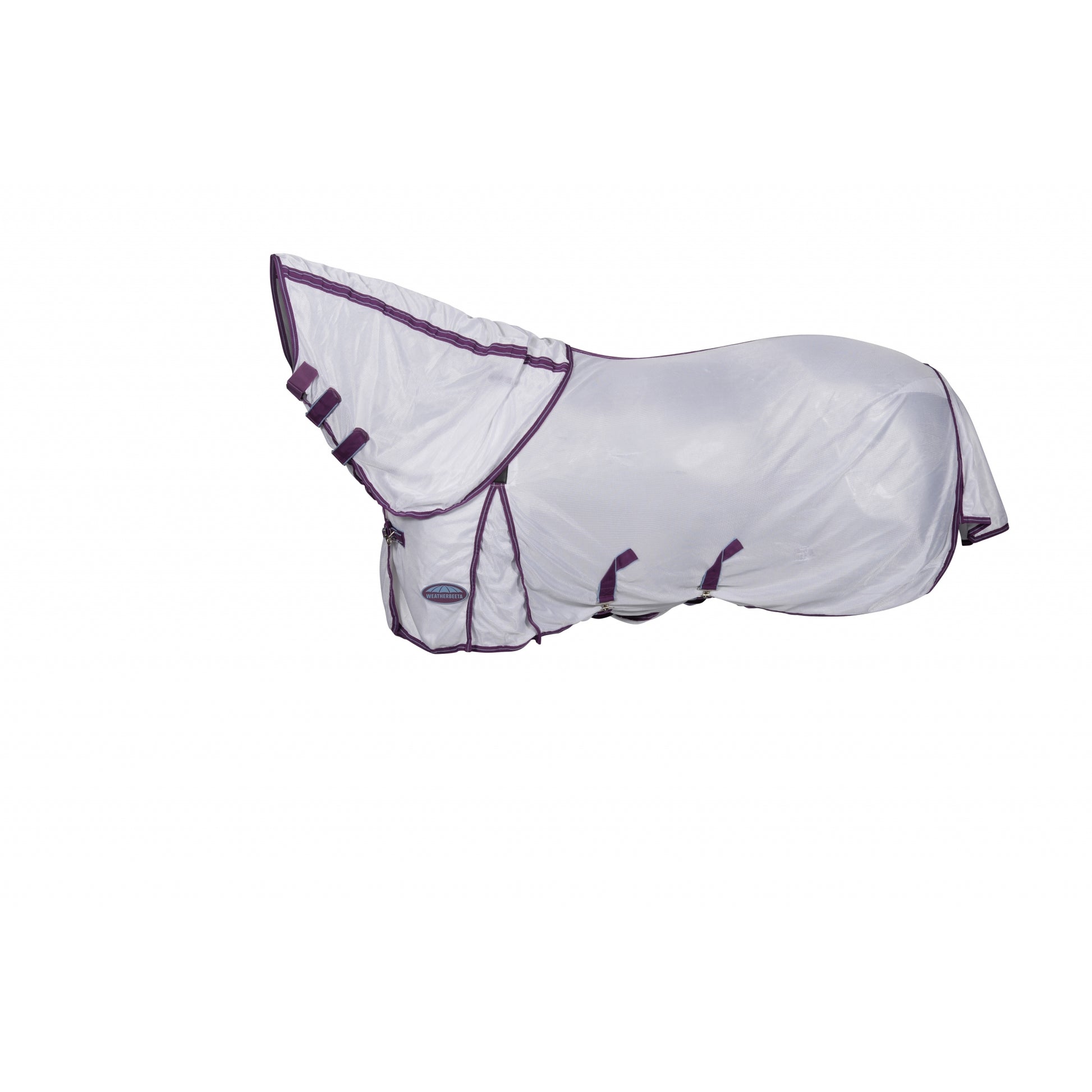 4-350394-c.jpg