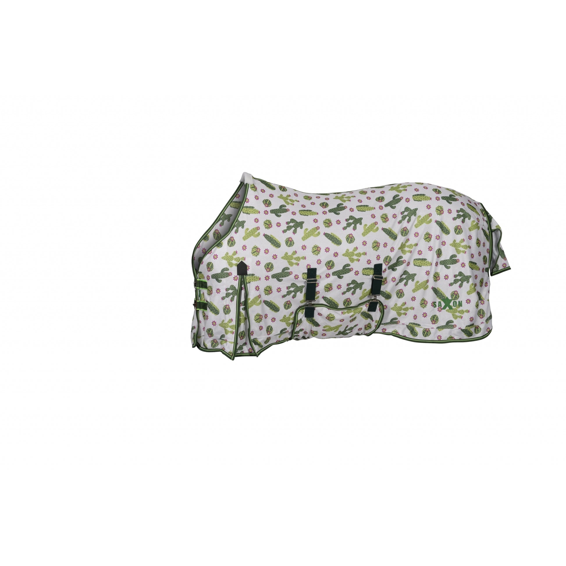 4-350481-b.jpg