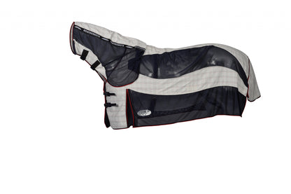4-350567-b.jpg