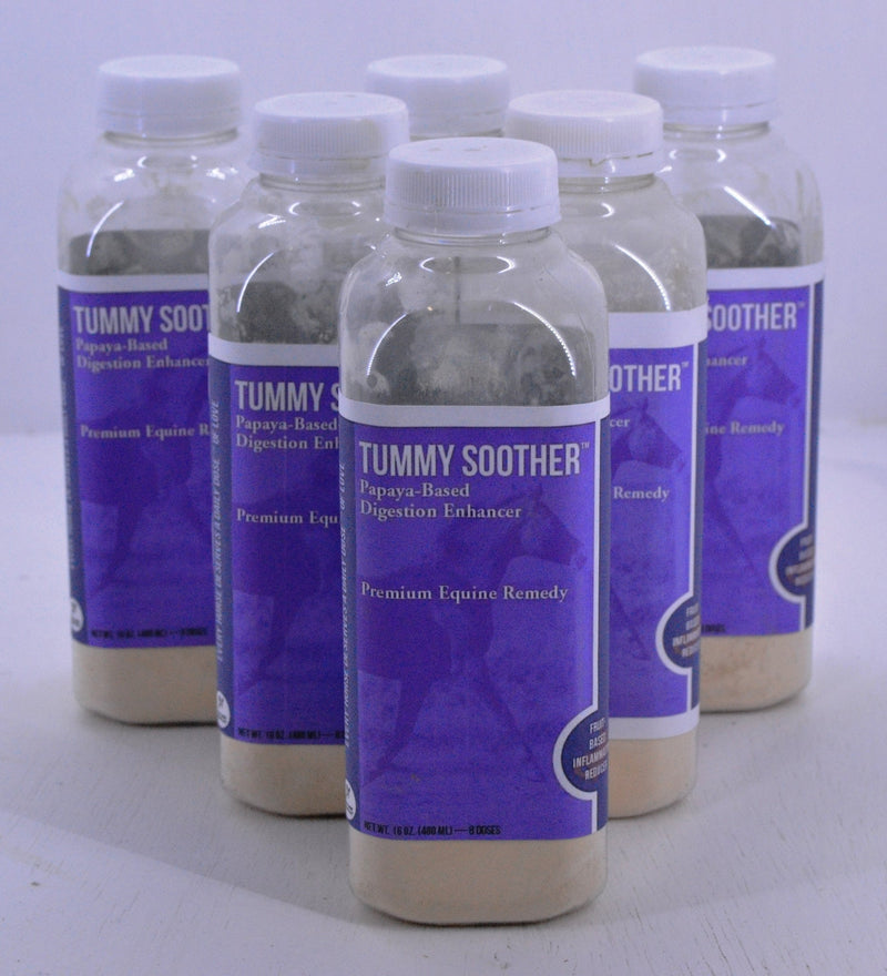 Daily Dose Equine Tummy Soother 6 pack