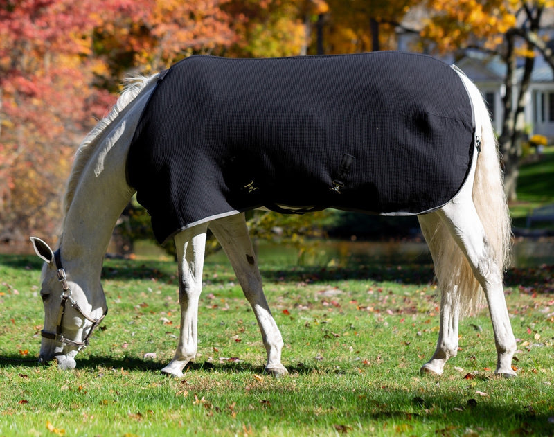 Equinavia Luftig Waffle Cooler