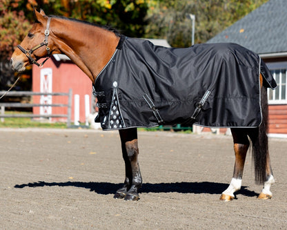 Equinavia Norse Pony Turnout Sheet