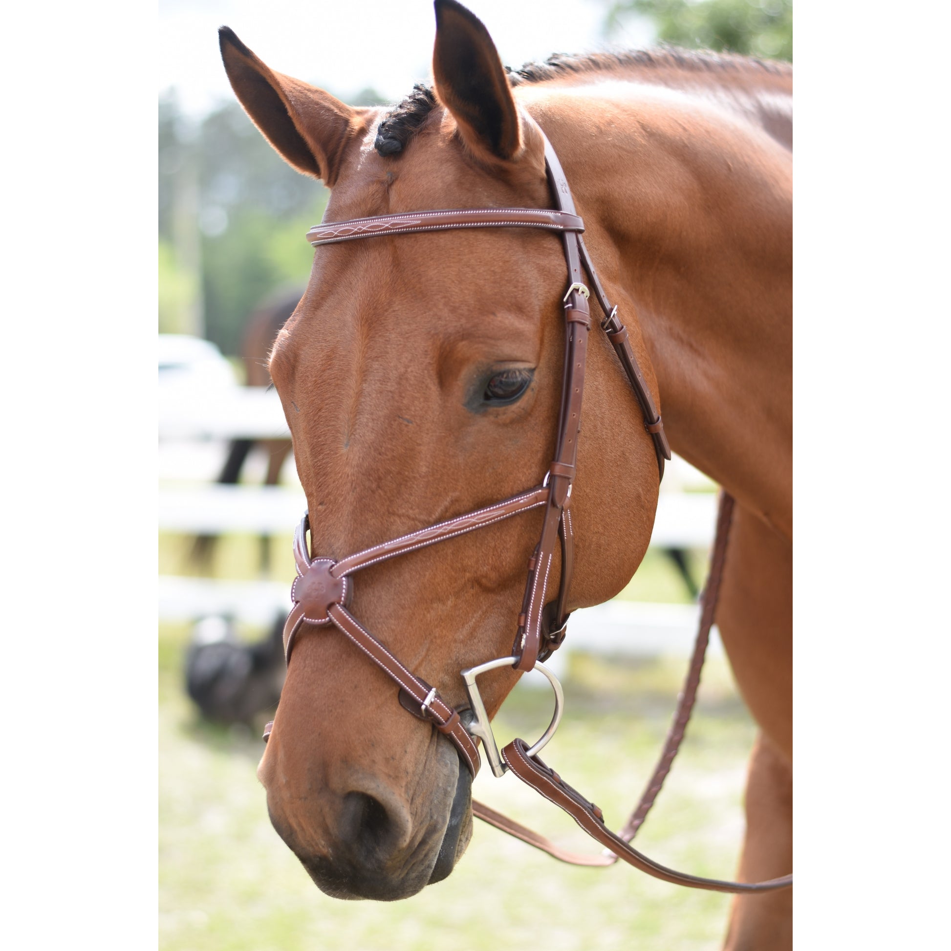 Huntley Sedgwick Fancy Stitched Figure 8 Noseband