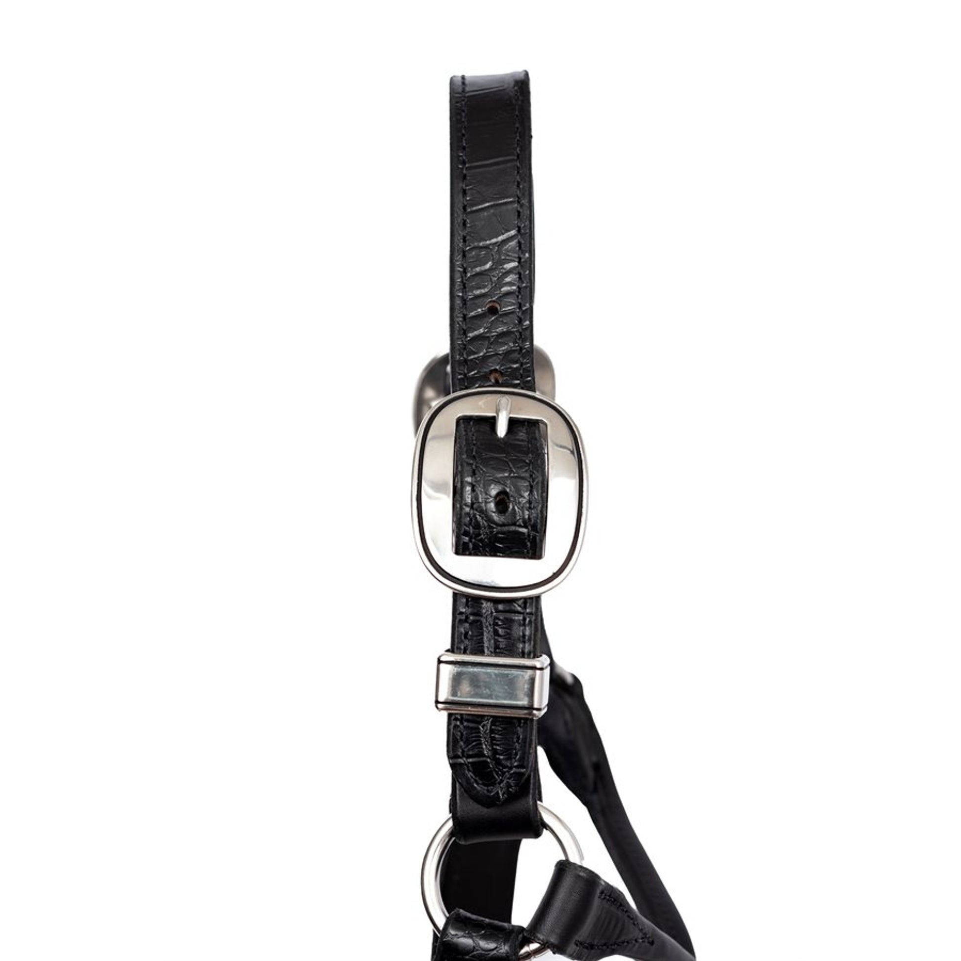 Perri's 1" Buckles/Keepers for Croc Embossed Show Halter