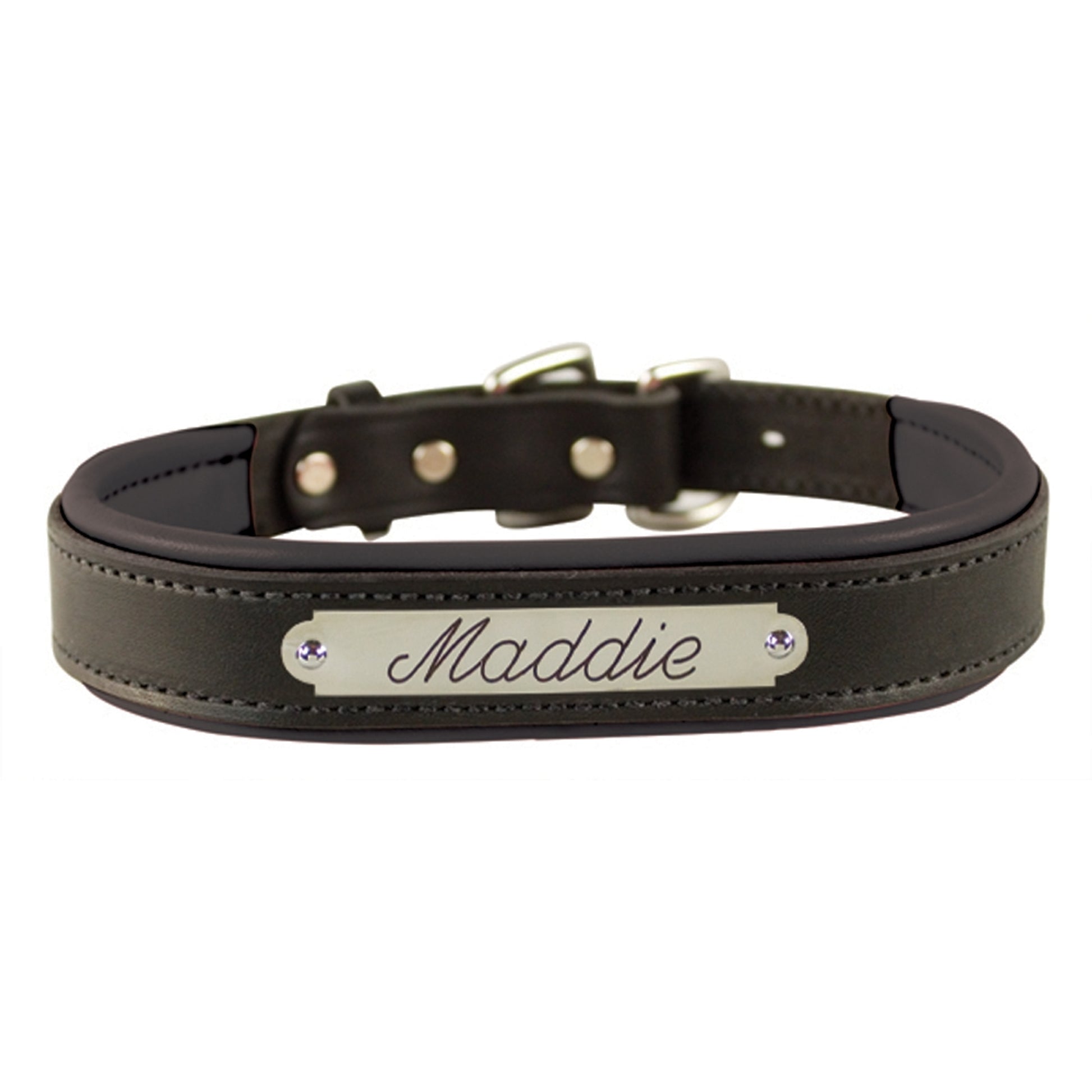 Perri's Personalized Padded Leather Dog Collar
