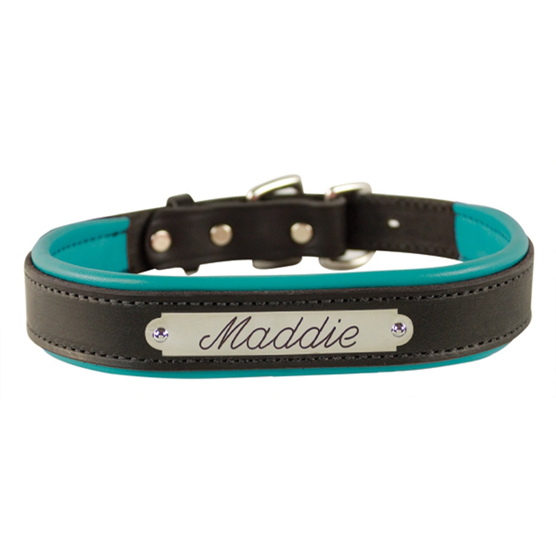 Perri's Personalized Padded Leather Dog Collar