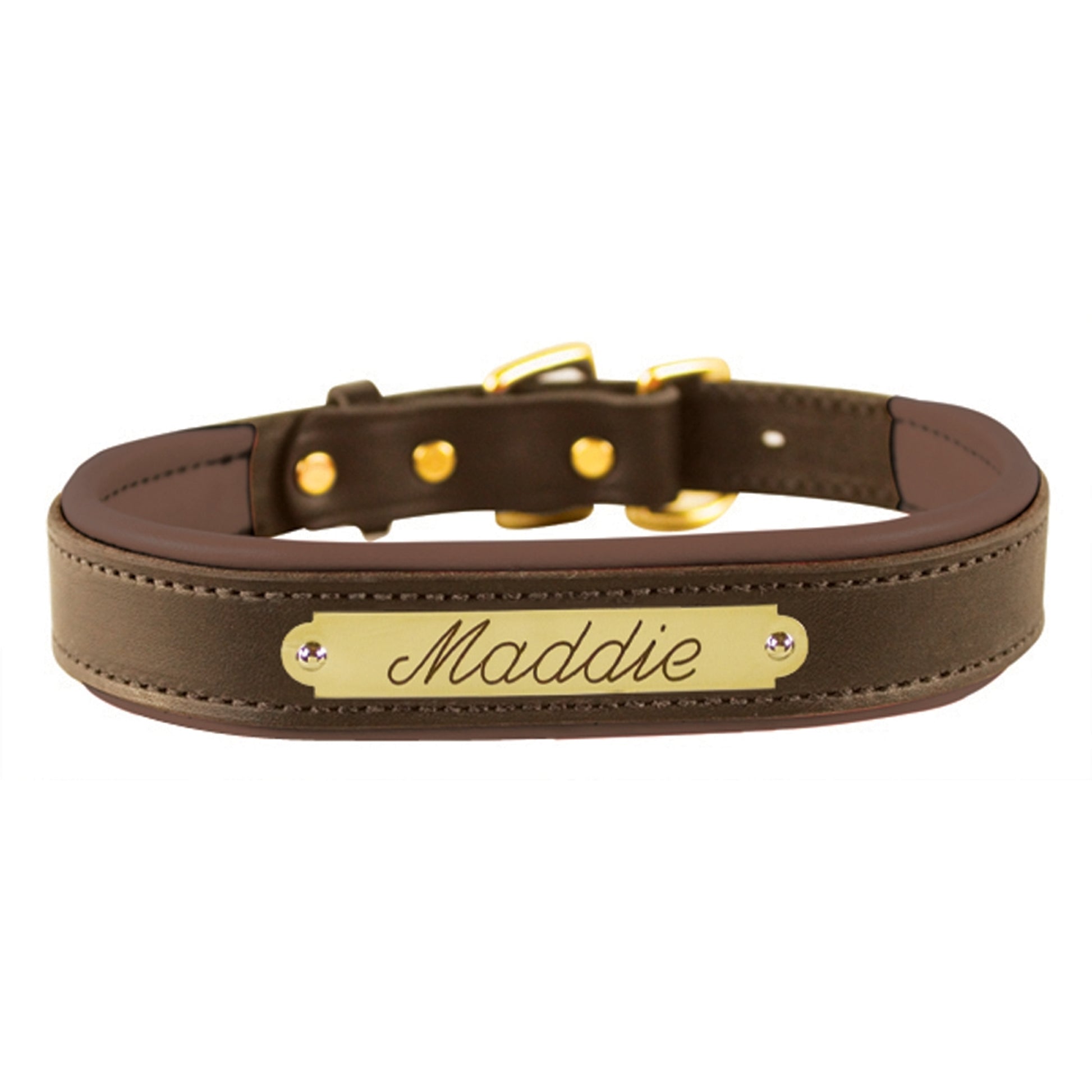 Perri's Personalized Padded Leather Dog Collar