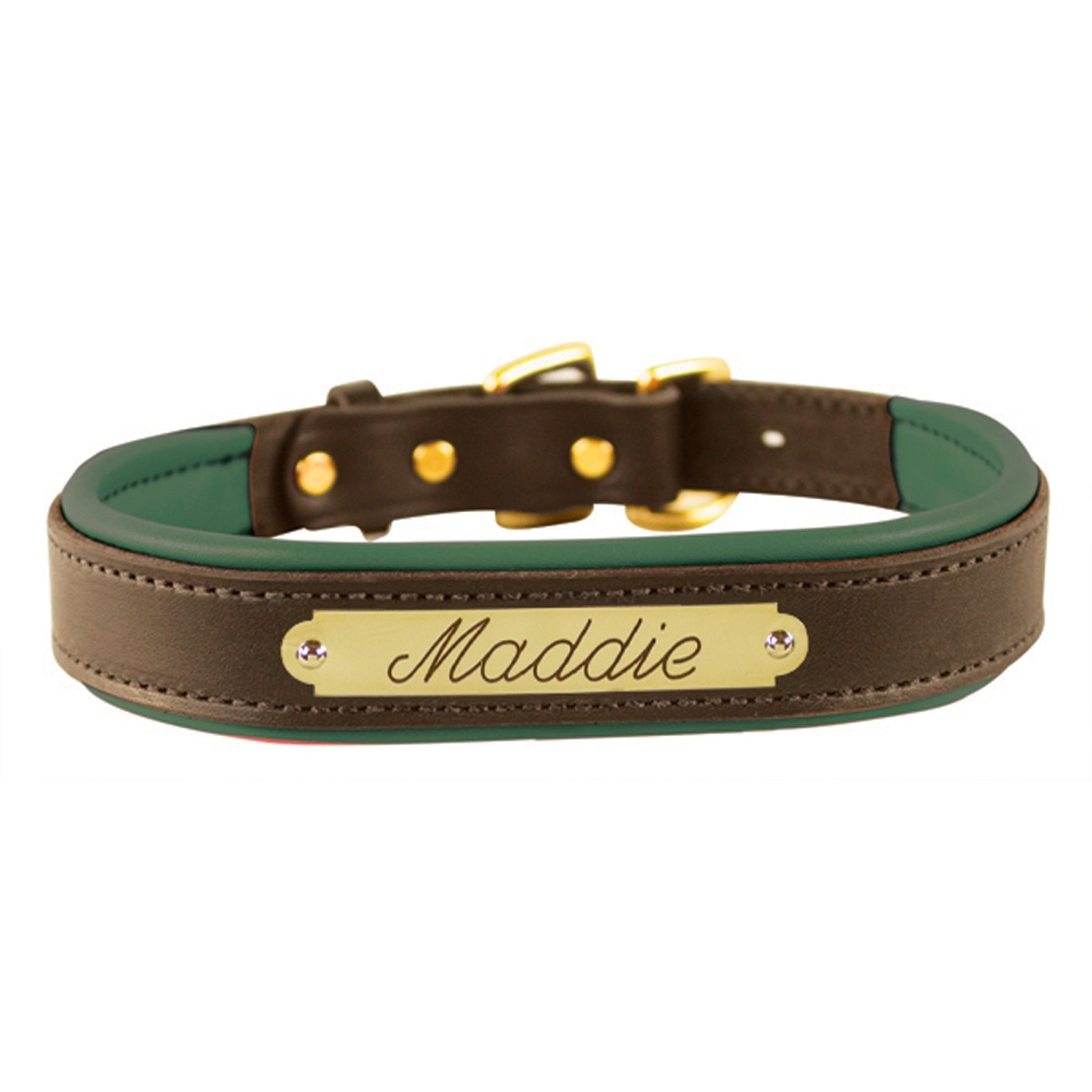 Perri's Personalized Padded Leather Dog Collar