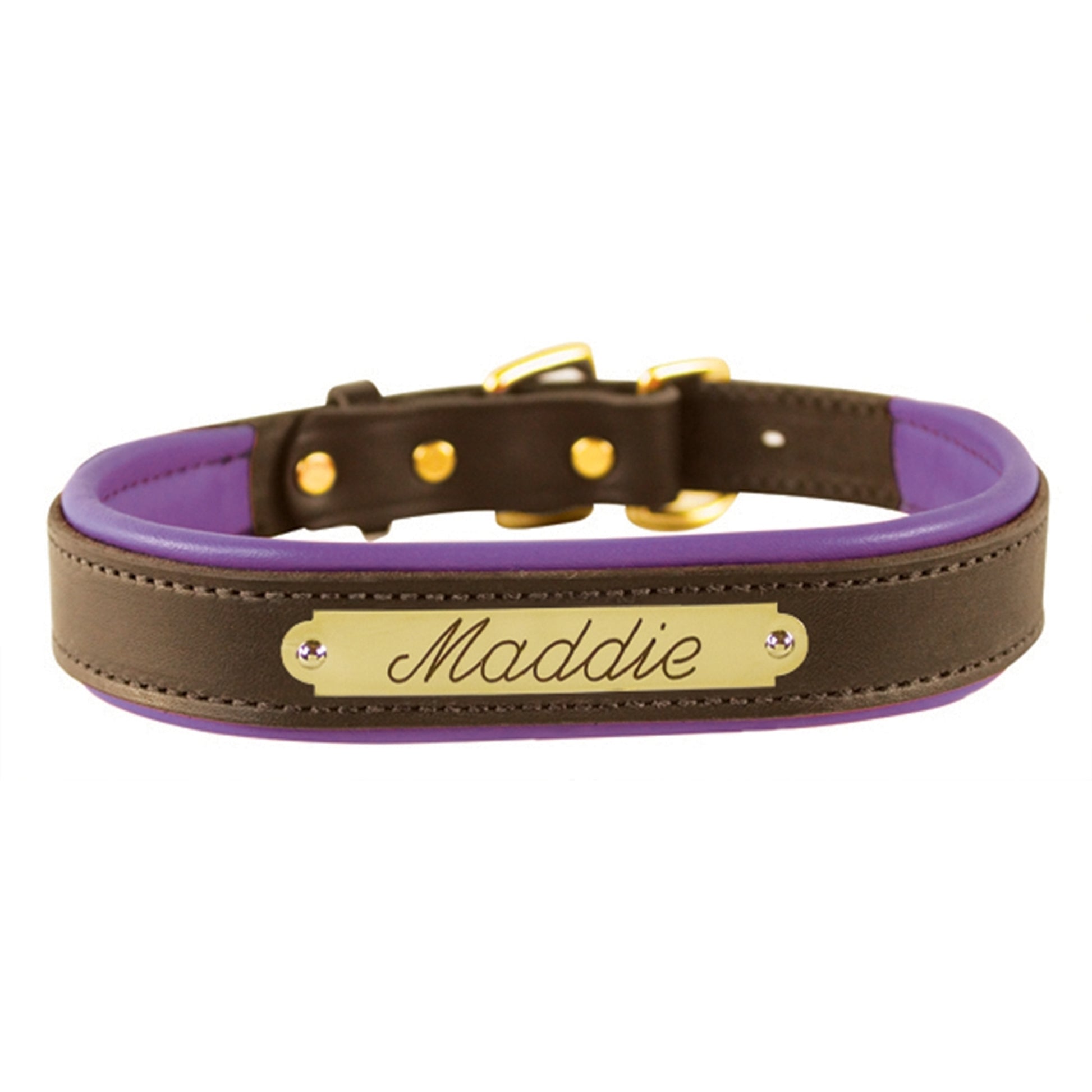 Perri's Personalized Padded Leather Dog Collar