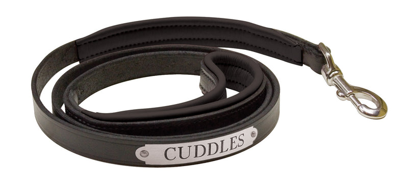 Perri's Personalized Padded Leather Dog Leash