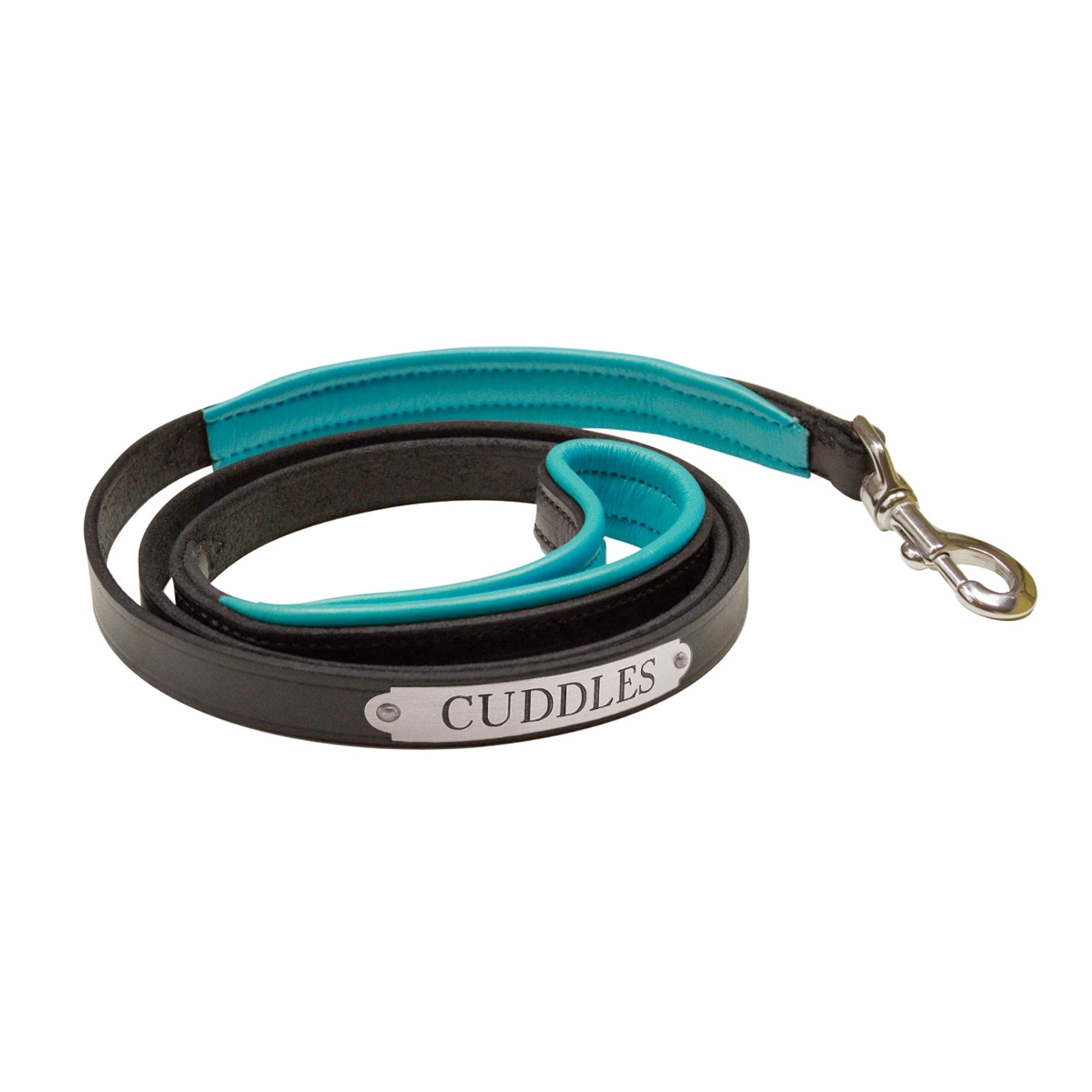 Perri's Personalized Padded Leather Dog Leash