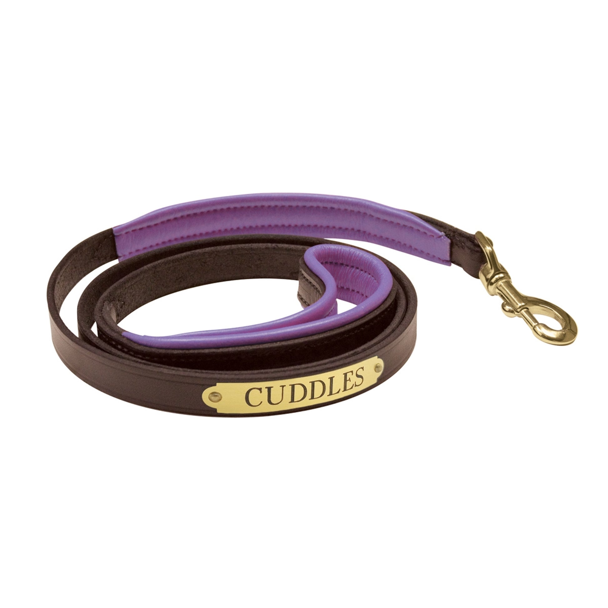 Perri's Personalized Padded Leather Dog Leash