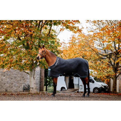 Horseware Thermal Cooler