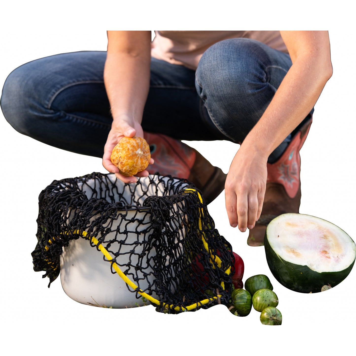 4-421743-b.jpg