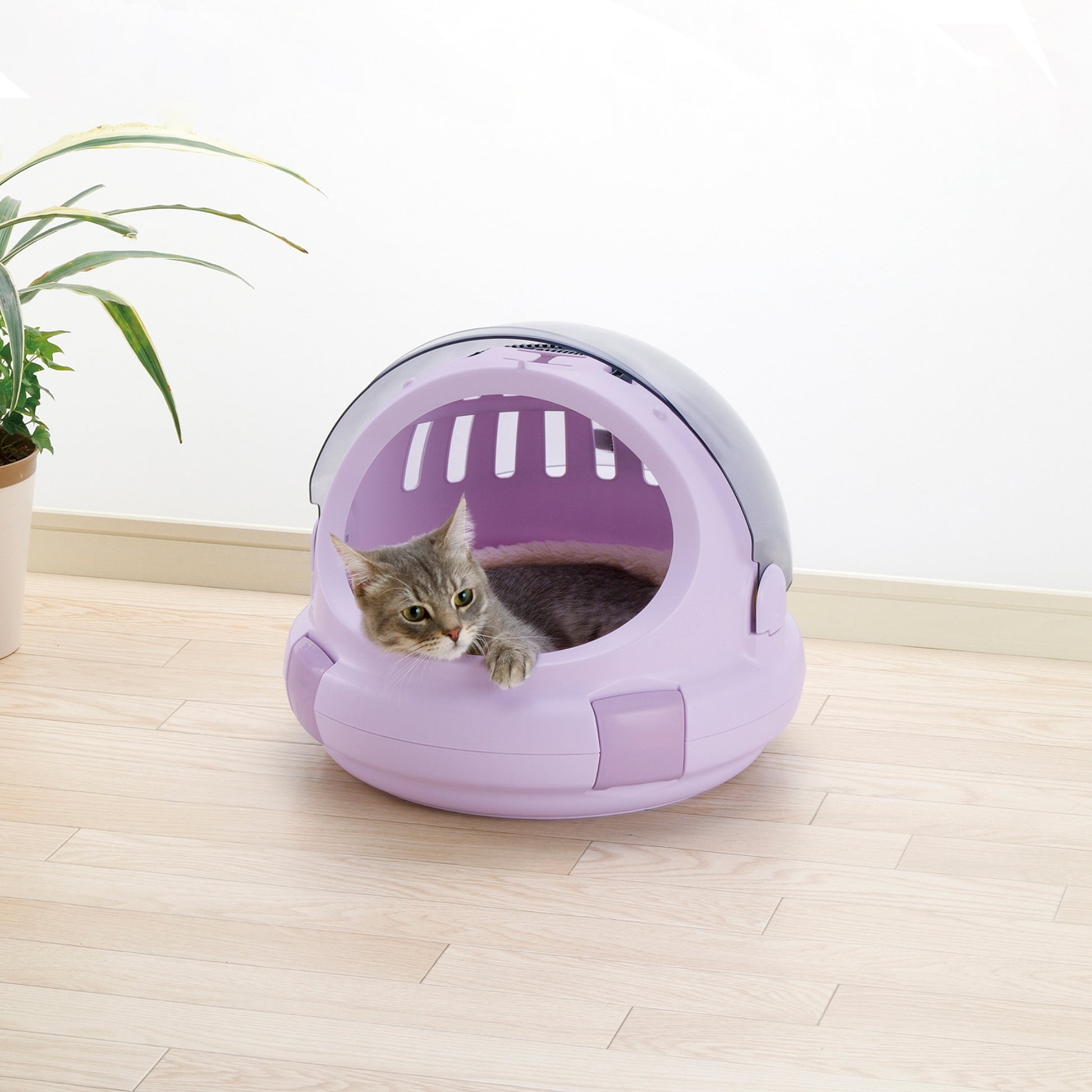 Richell Space Capsule Pet Carrier & Bed