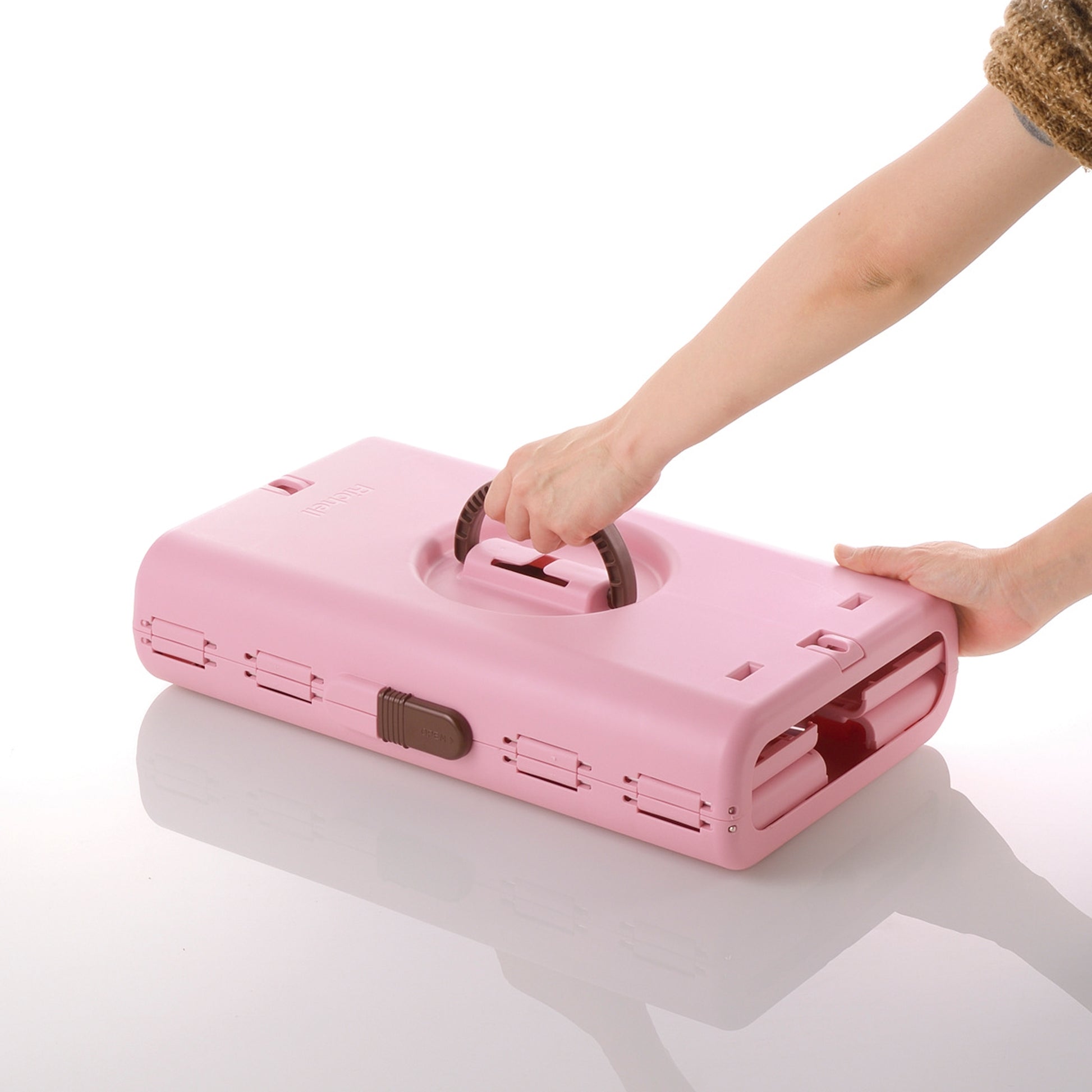 Richell Foldable Pet Carrier