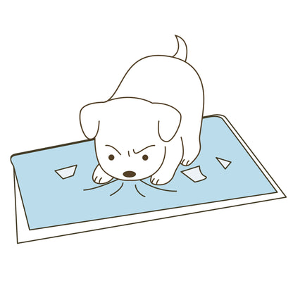 Richell PAW TRAX Splash Free Potty Pad Tray
