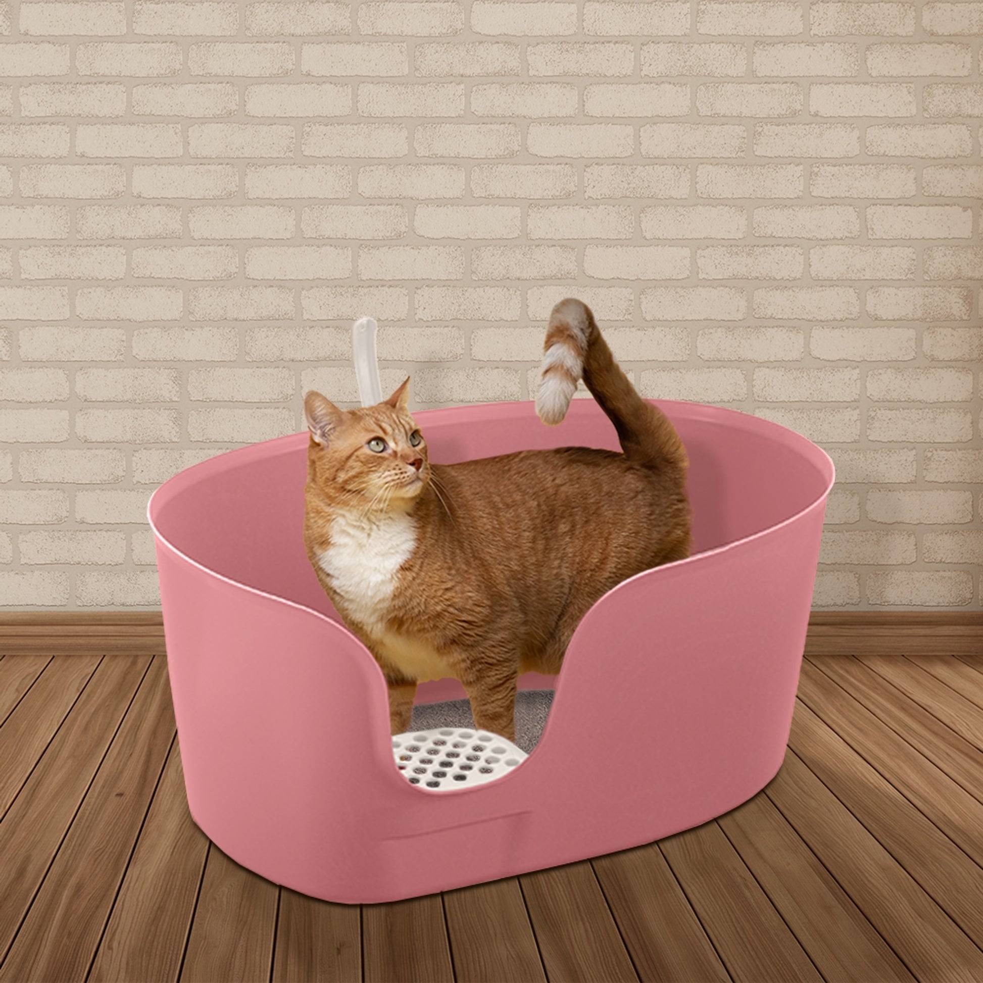 Richell PAW TRAX High Wall Cat Litter Box