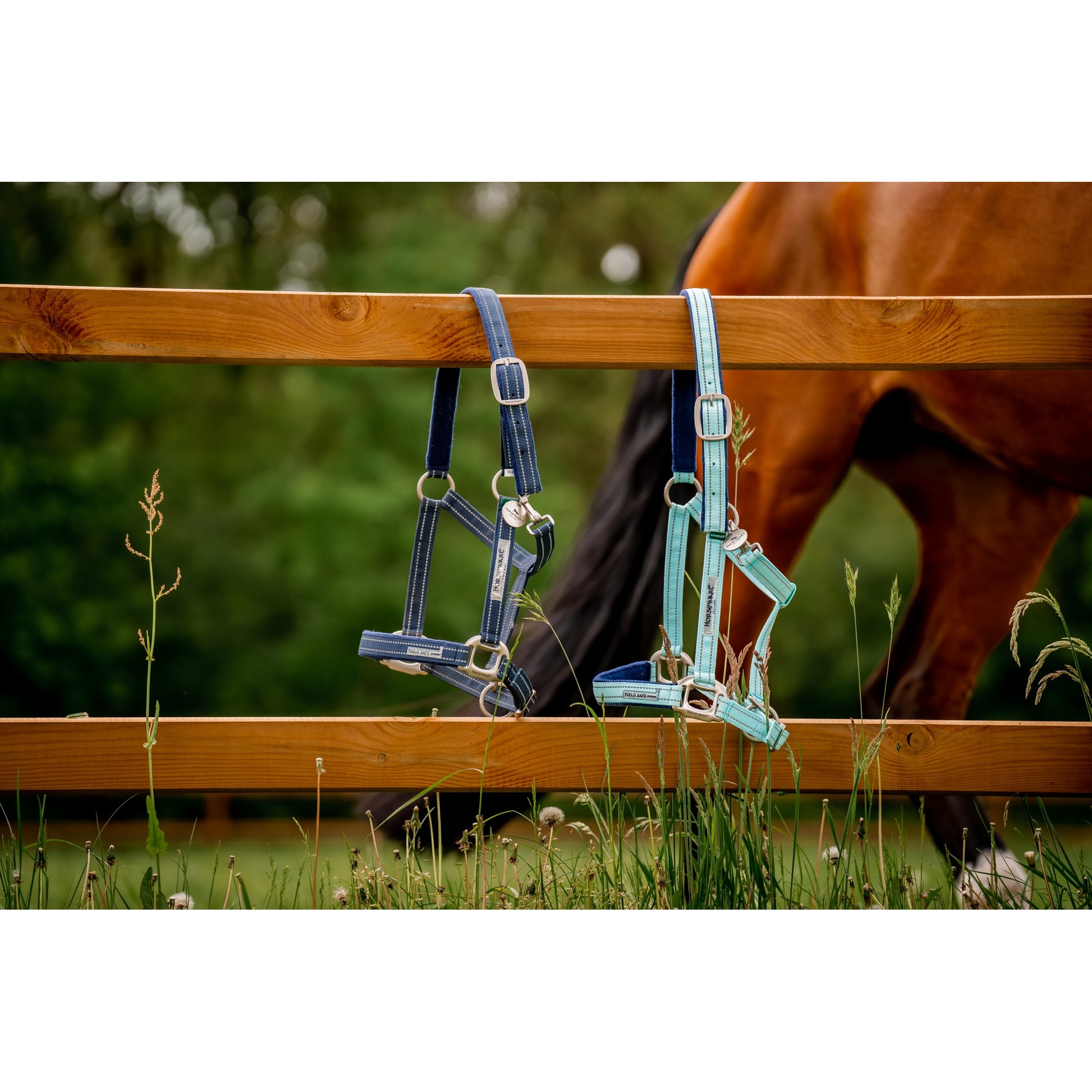 Horseware Fieldsafe Halter