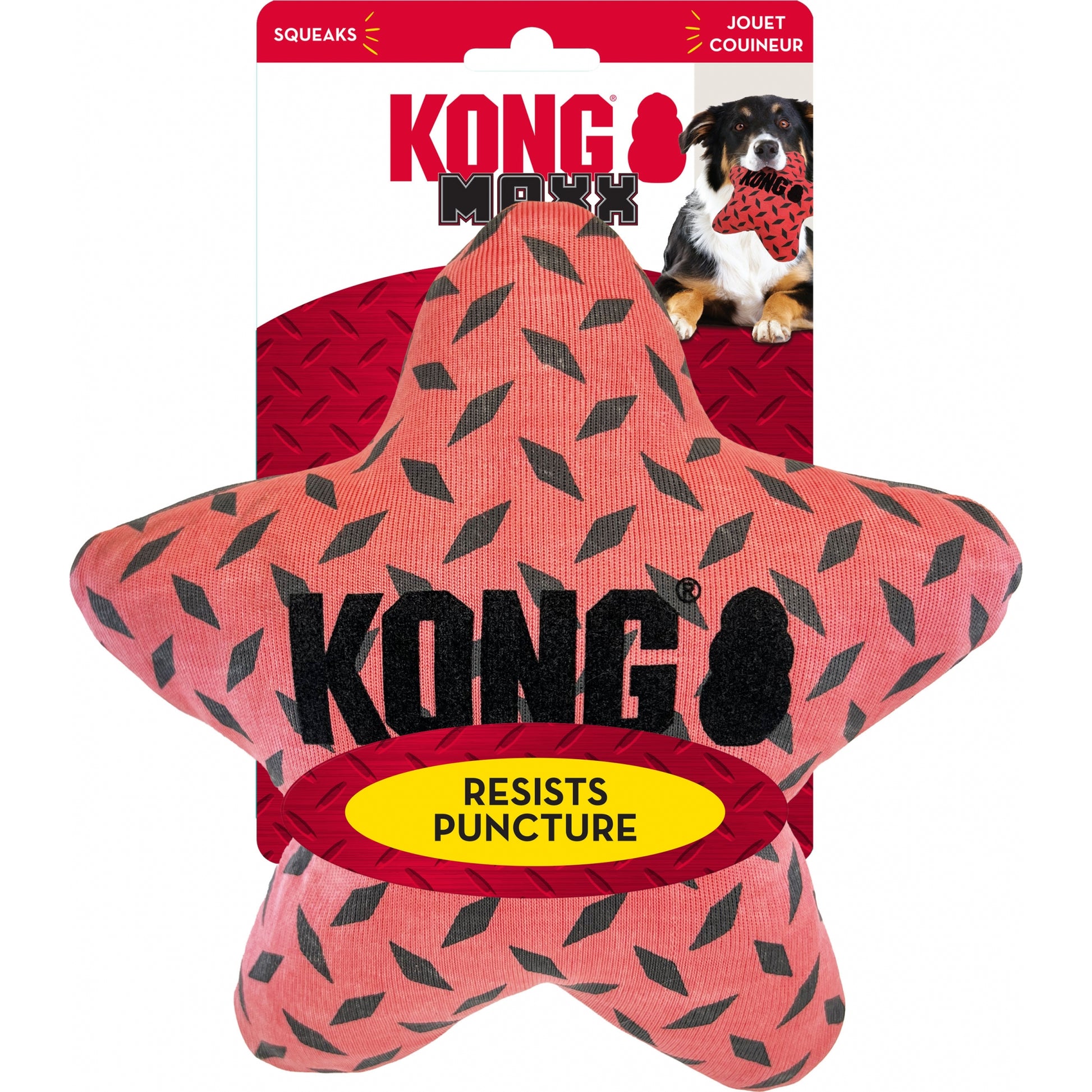 KONG Maxx Star