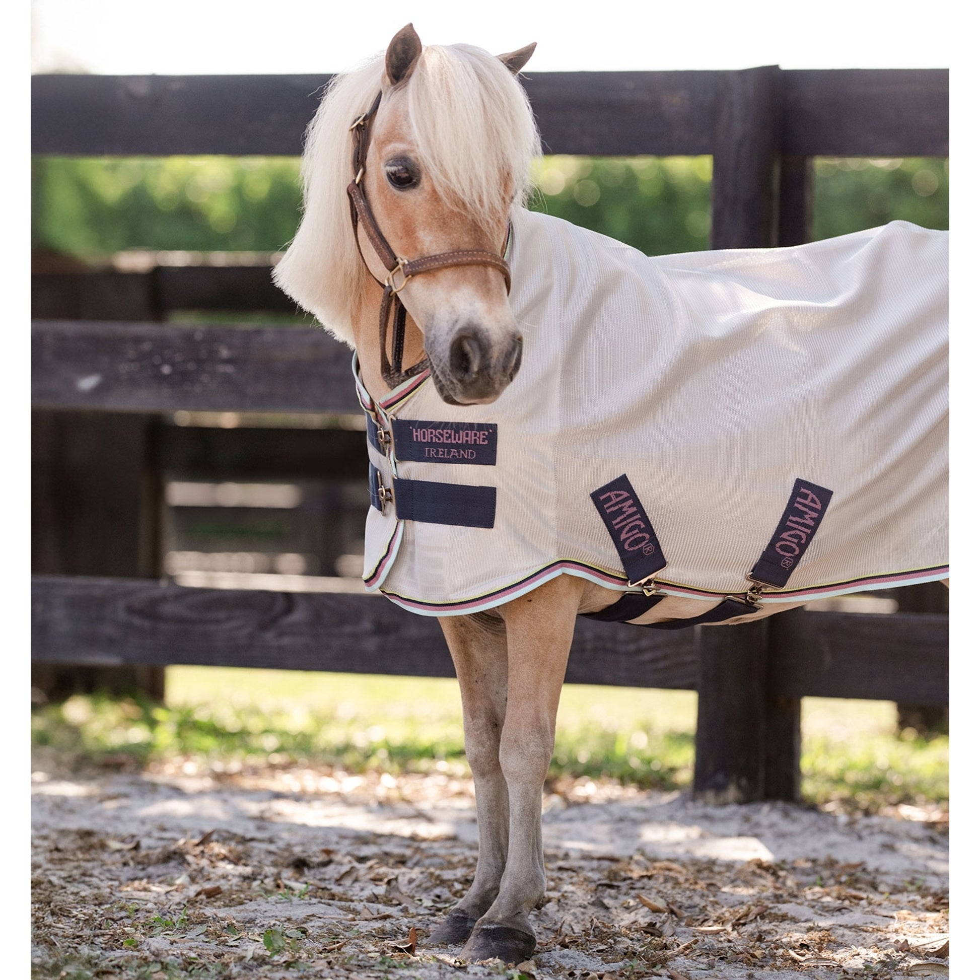 Amigo Bug Rug Plus Petite Fly Sheet