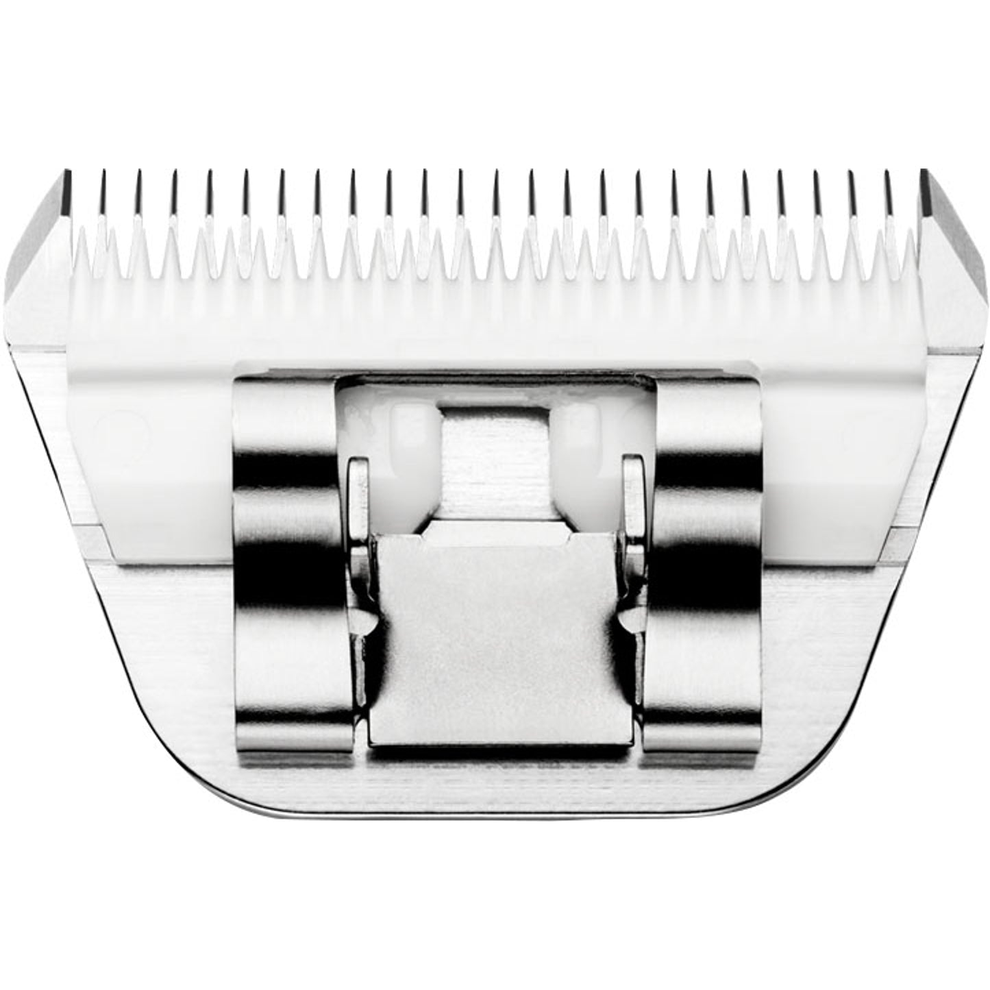 4-446496-c.jpg