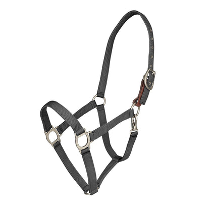 Ovation Lucky Breakaway Halter