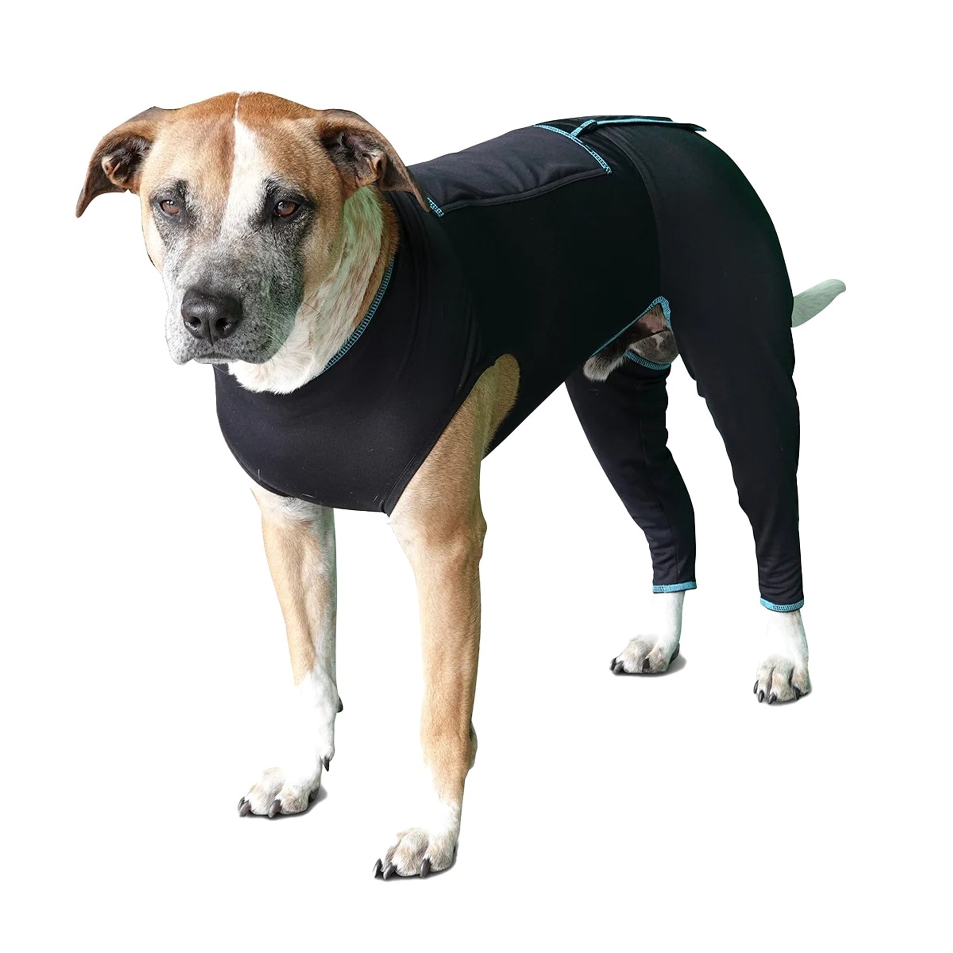 BeneFab Canine Comfort Suit