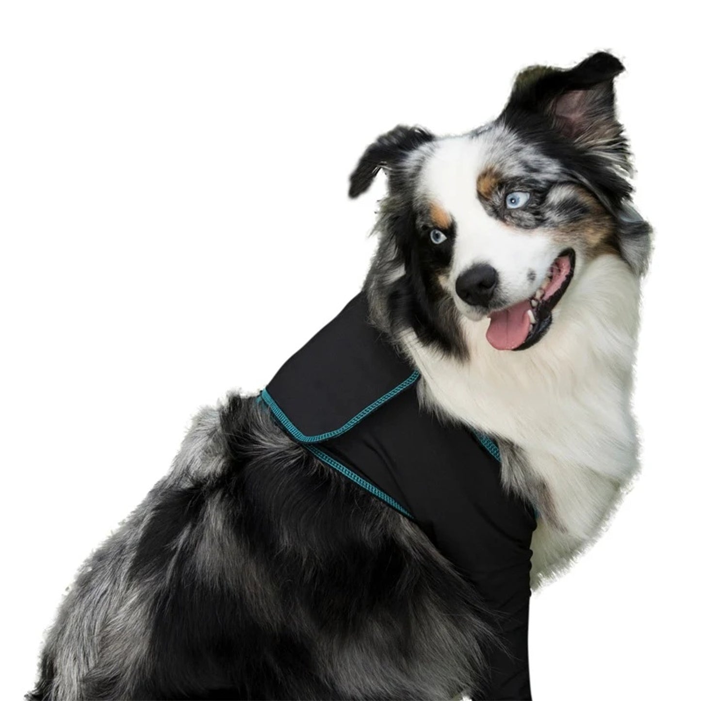4-461481-a.jpg