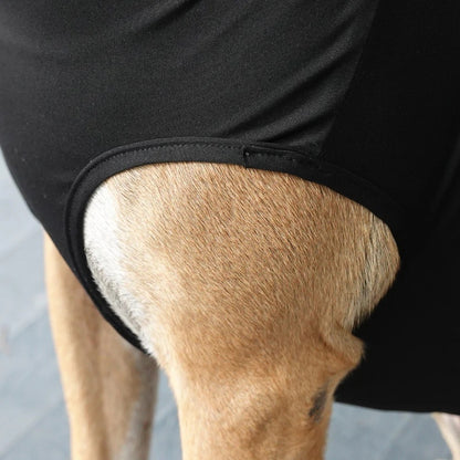 BeneFab Canine Comfort & Care Shirt