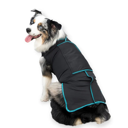 BeneFab Canine Comfort & Care Shirt