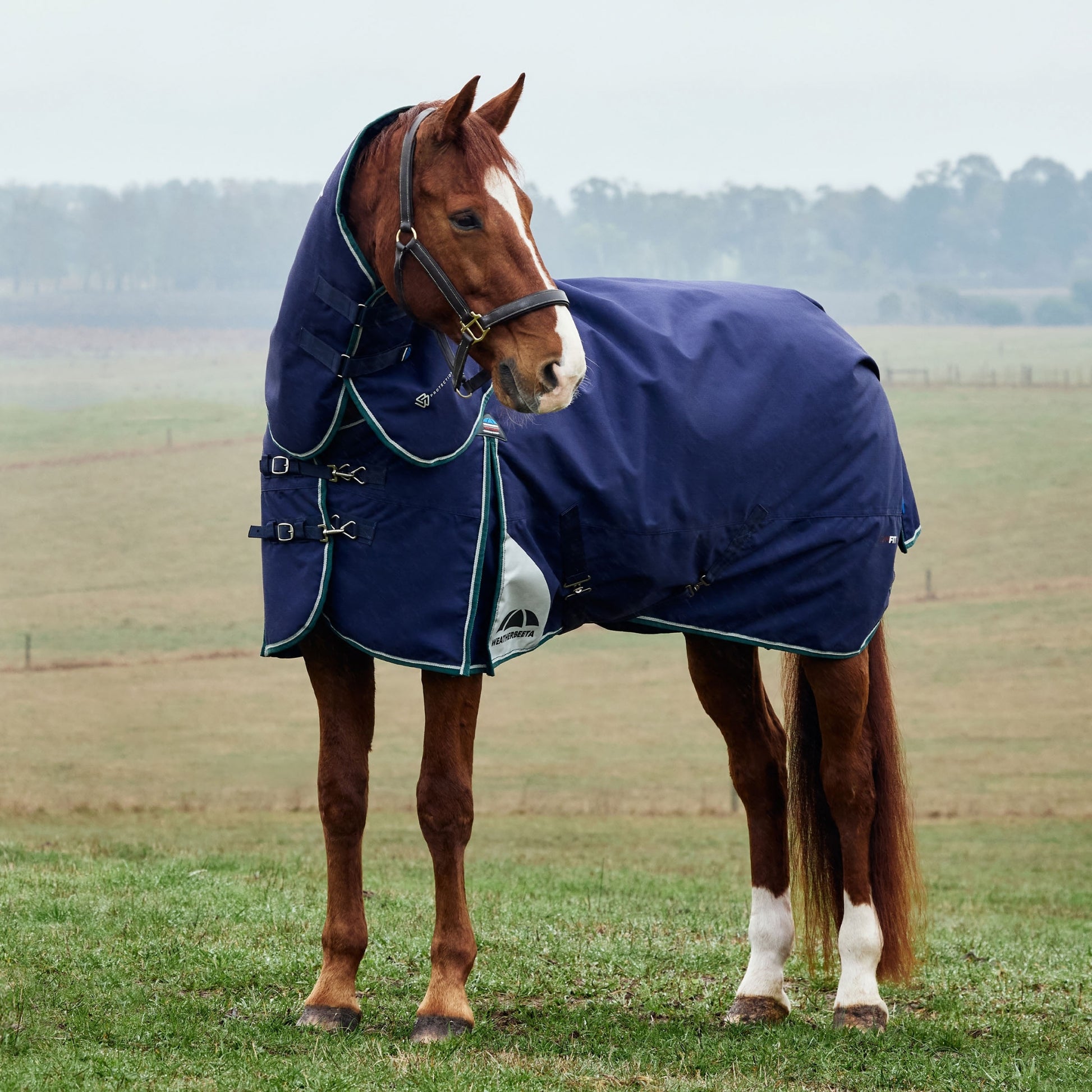 Weatherbeeta ComFiTec Plus Dynamic Turnout Detach-A-Neck 0g