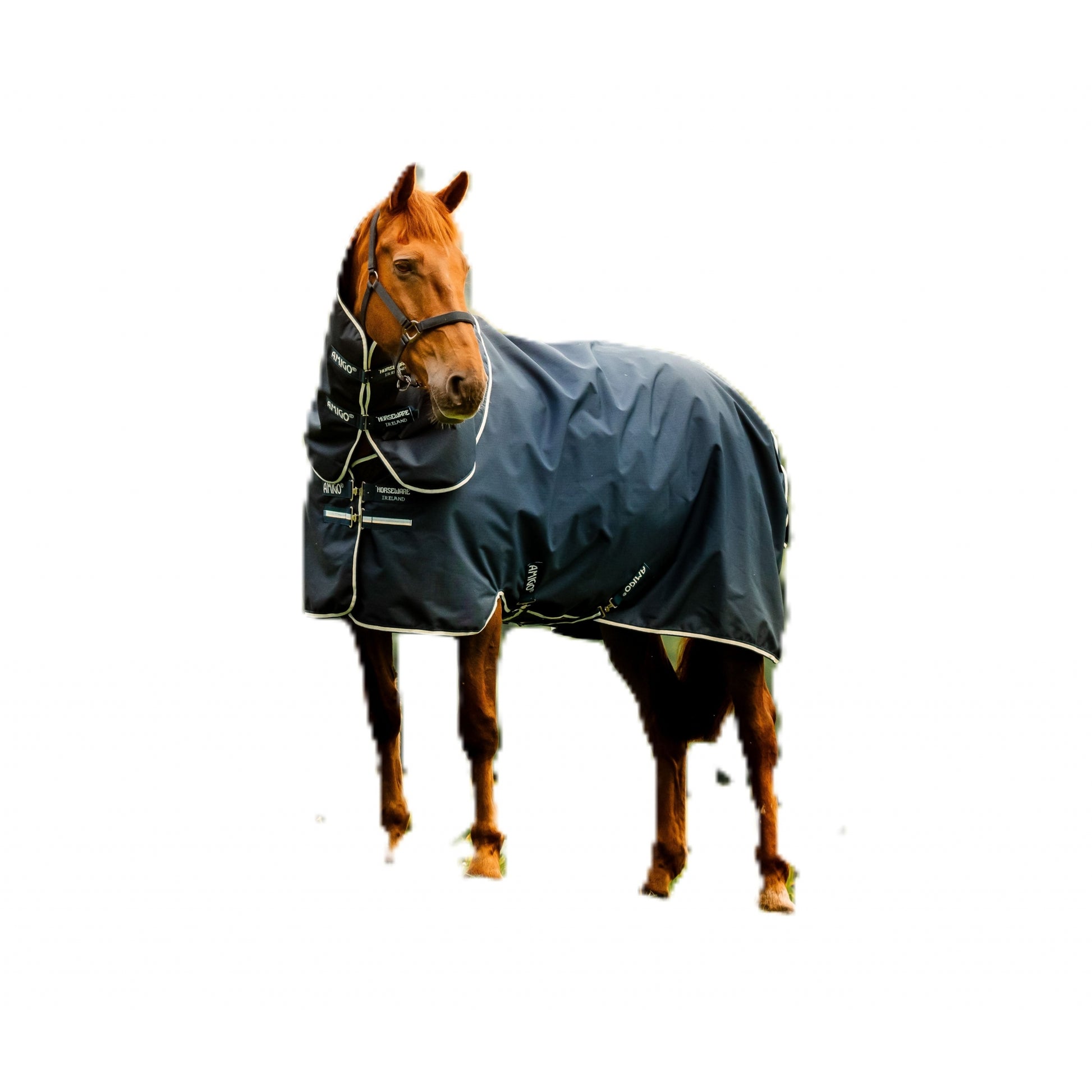 4-474226.jpg