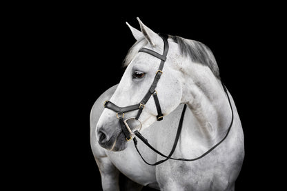 Horseware Micklem Multi Bridle