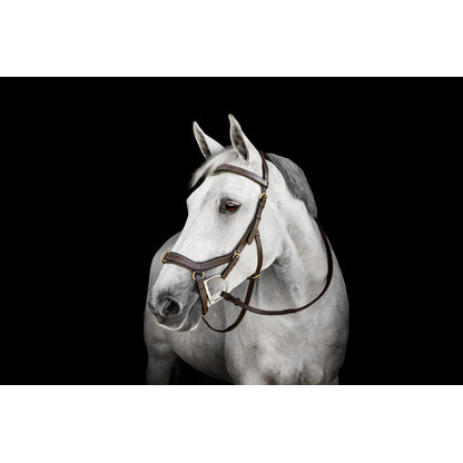 Horseware Micklem Multi Bridle
