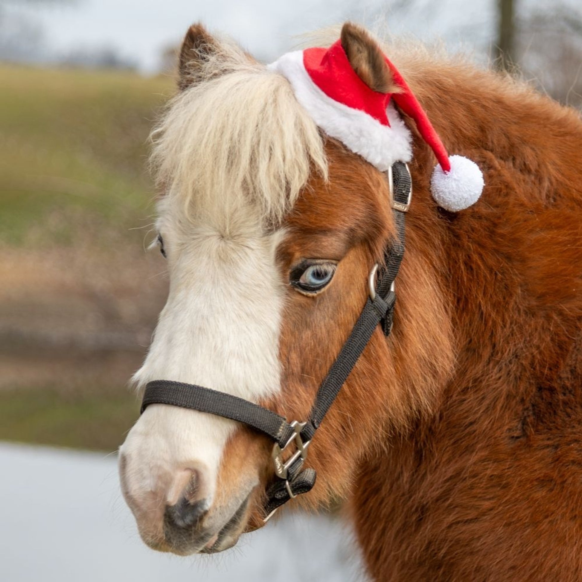 Tough1 Mini One Ear Santa Hat